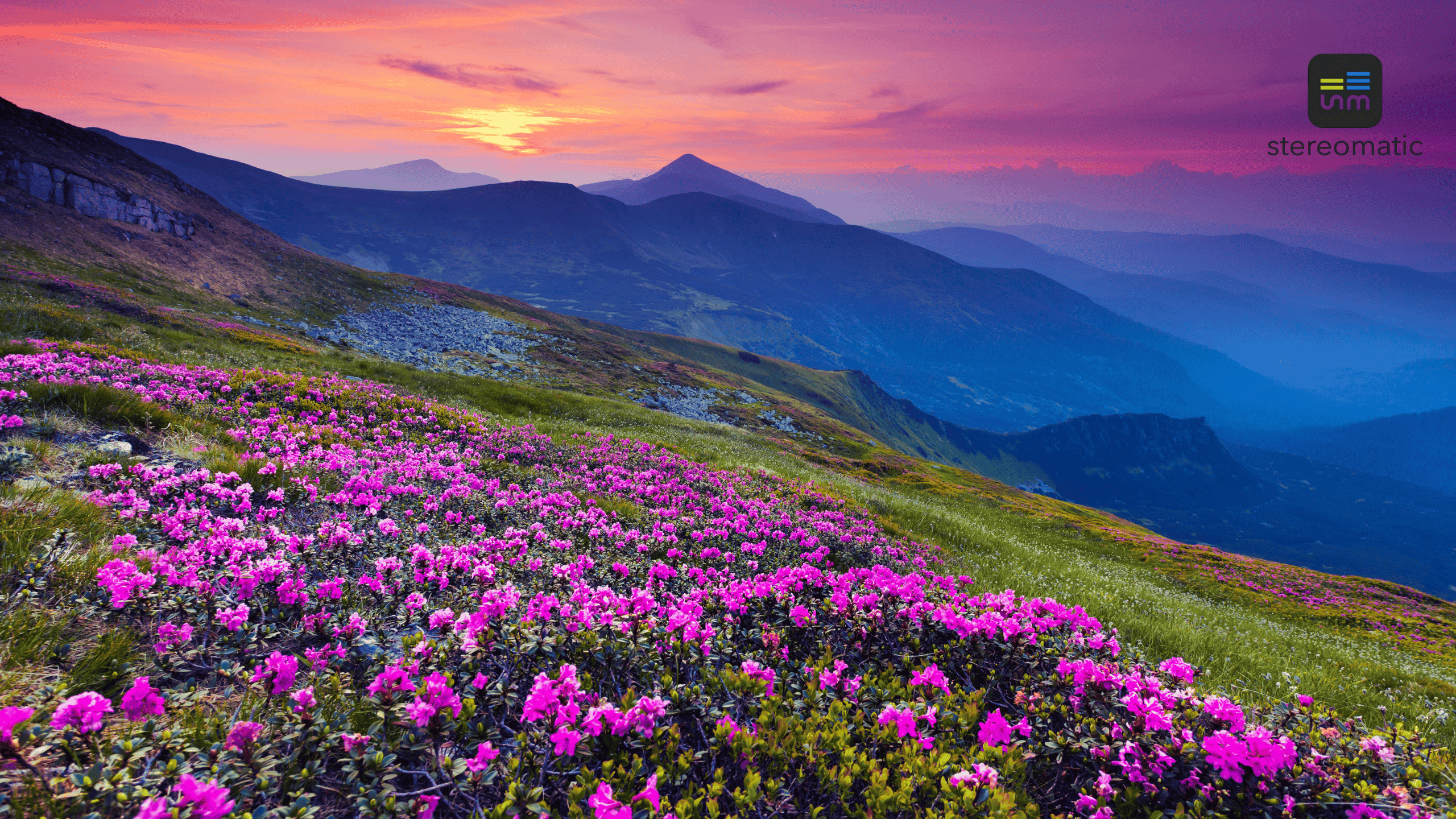 Panorama Beskidów latem – malownicze miejsce na firmowy wyjazd integracyjny z team buildingiem i wellbeingiem