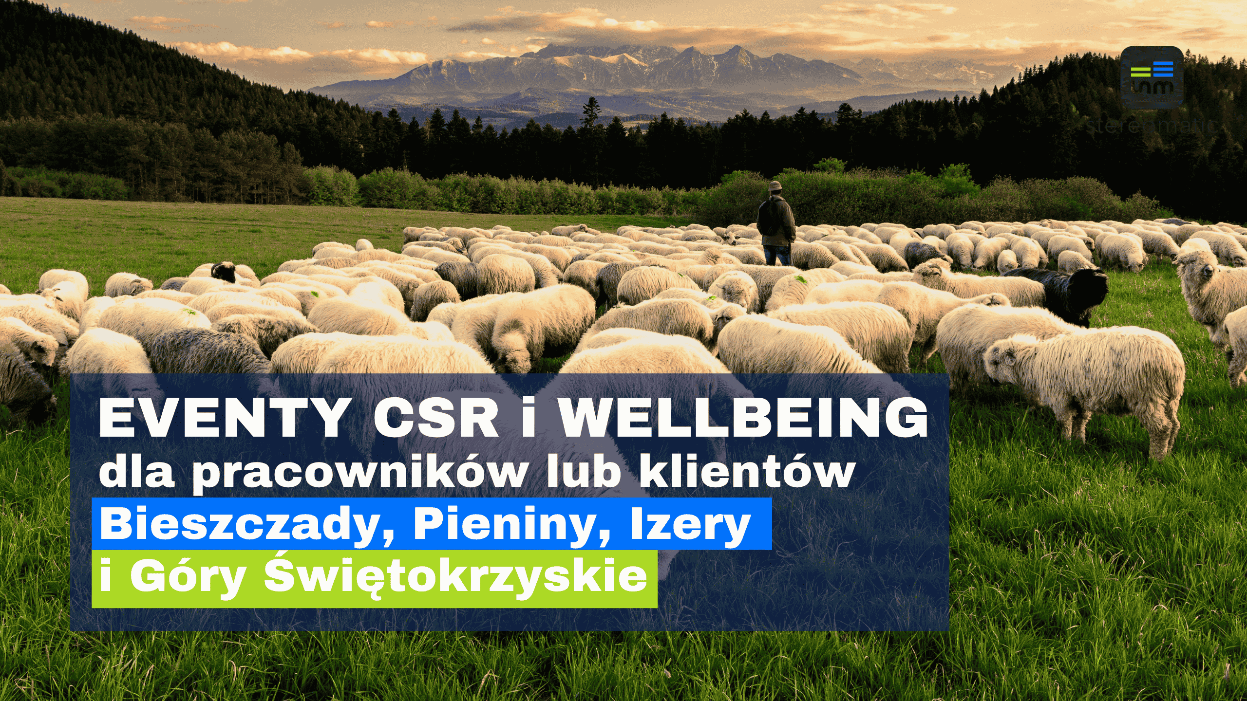 Event CSR i wellbeing w górach – wypas owiec w tle panoramy górskiej, z udziałem pracowników lub klientów w Bieszczadach, Pieninach, Górach Świętokrzyskich lub Izerach.