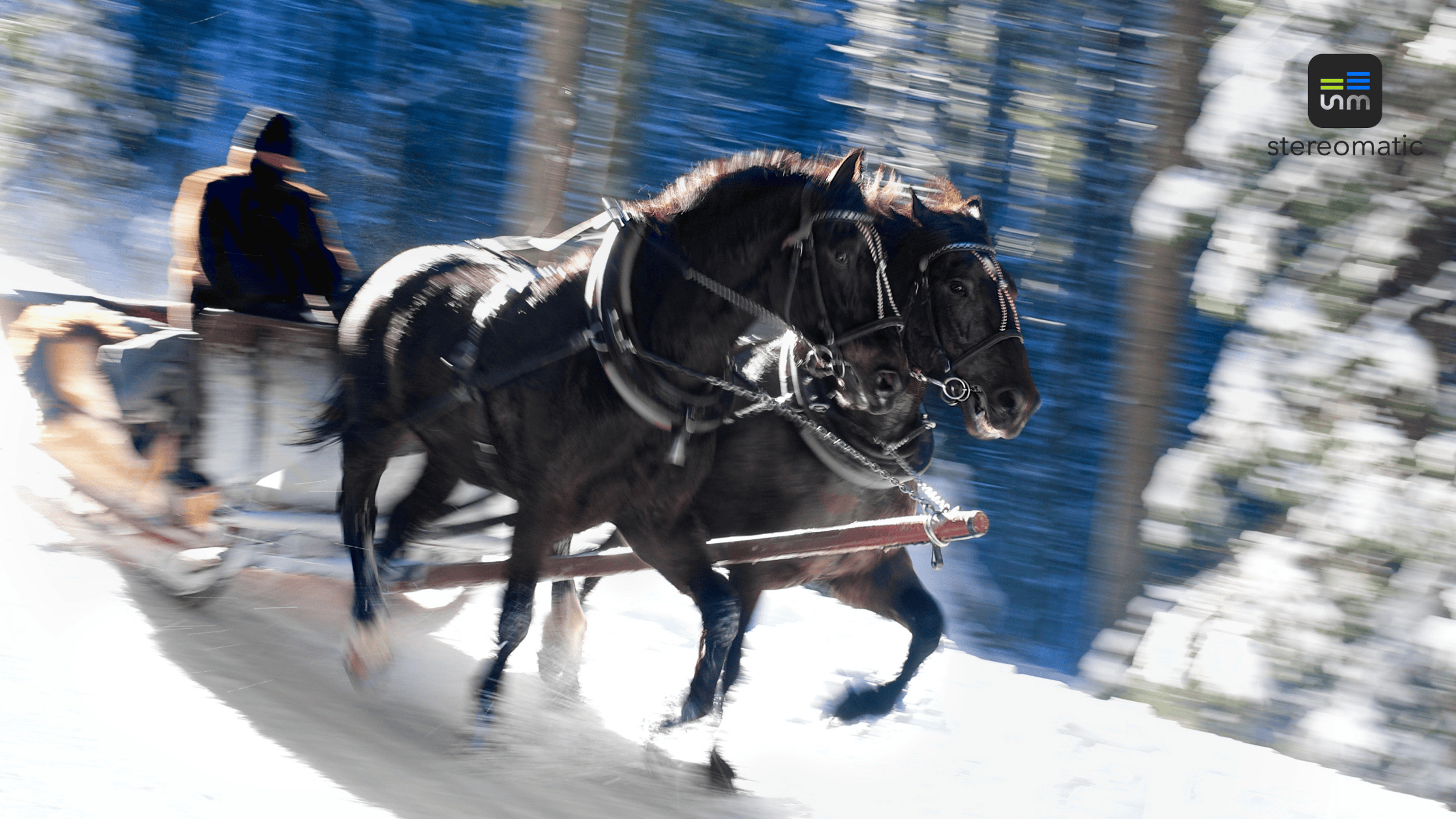 Zimowy kulig firmowy z saniami ciągniętymi przez konie, organizowany w Tatrach jako atrakcja integracyjna przez agencję eventową.